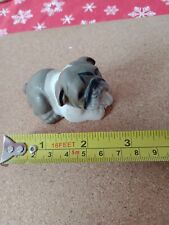 Small bulldog pup for sale  WORTHING