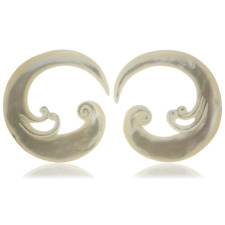 Shell ear spiral for sale  ENFIELD