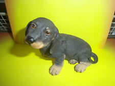 Country artists dachshund for sale  Streator