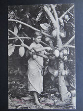 Native girl plucking for sale  Shipping to Ireland