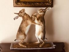 Pair taxidermy boxing for sale  MANCHESTER