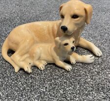 adorable pups for sale  MILTON KEYNES