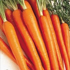 Carrot tender sweet for sale  Coyle
