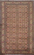 Pattern anatolian oriental for sale  Charlotte