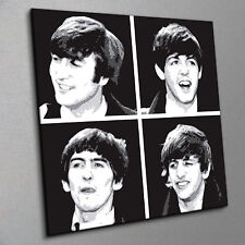 Beatles stylish print for sale  NELSON