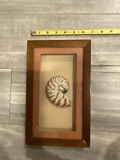 Nautilus sea shell for sale  Los Angeles