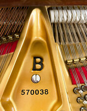 steinway b for sale  Hutchinson