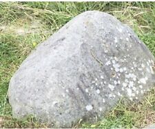 Large garden boulder for sale  WORCESTER
