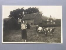 Rownhams lady cattle for sale  PORTSMOUTH