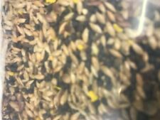 Mixed canary seed for sale  BANBURY