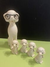 Óculos Poodle Dog vintage com seus 4 filhotes brancos comprar usado  Enviando para Brazil