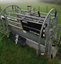 Sheep rollover crate for sale  PONTYCLUN