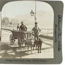 Koblenz Germany Dog Cart Stereoview c1900 Pontoon Ferry Bridge Boat Dock B1814, used for sale  Shipping to South Africa
