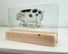 Pig sun catcher for sale  BATTLE