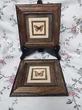 Pair framed butterfly for sale  Carthage
