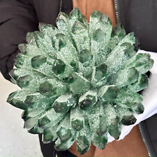 Usado, Aglomerado de cristal verde natural 12,21 lb e forma de flor amostra mineral cura comprar usado  Enviando para Brazil