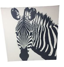 Fun zebra canvas for sale  Perrysburg