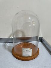 grande display de cúpula de vidro Cloche Home Decore comprar usado  Enviando para Brazil