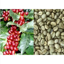 Seeds coffee plant for sale  Shipping to Ireland