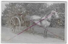 Horse wheeled cart for sale  BRIDGWATER