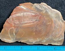 Morrisonite picture jasper for sale  Klamath Falls