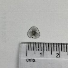 Used, Rare Natural Trapiche Diamond Slice 0.29 carat 7.5x7.3x0.5mm polki cut style for sale  Shipping to South Africa