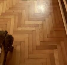 parquet prefinito usato  Milano