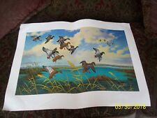 artist art signed waterfowl for sale  Onekama