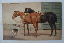 Cartolina originale colori usato  Napoli