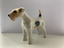Fox terrier dog for sale  MILTON KEYNES
