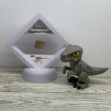 Dinosaur eggshell fossil for sale  Davenport