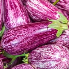 Neu aubergine tsakoniki gebraucht kaufen  Eichstätt