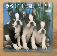2006 boston terrier for sale  Deer Park