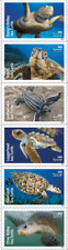 #5865 - 5870a 2024 Protect Sea Turtles Strip/6 - MNH (após 11 de junho) comprar usado  Enviando para Brazil