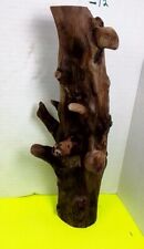 driftwood root for sale  Brookwood