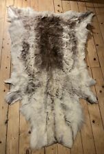 Reindeer fur rug for sale  GLASGOW