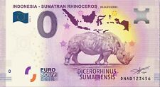 Indonesia sumatran rhinoceros d'occasion  Pleyben