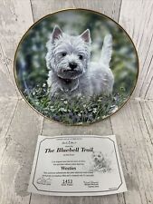 Westie collectors plate for sale  EXETER