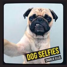 Ellis charlie dog for sale  STOCKPORT