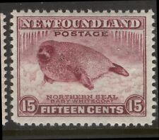 Newfoundland nssc 245iii for sale  Beaverton