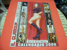 Calendario anno 2006 usato  Torino