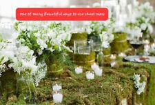 Large live moss d'occasion  Expédié en Belgium