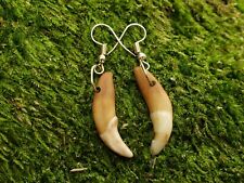 Coyote tooth earrings for sale  Commerce Township