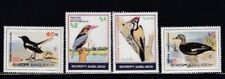 Bangladesh magpie kingfisher for sale  Astoria