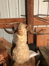 Mountain goat billy for sale  Celina