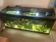 5ft fish tank, used for sale  EXETER