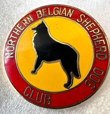 Northern belgian shepherd for sale  RUTHIN