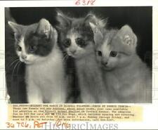 1988 press photo for sale  Memphis