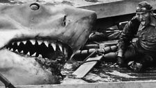 Jaws mechanical shark for sale  USA