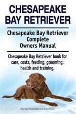 Chesapeake bay retriever. for sale  DERBY